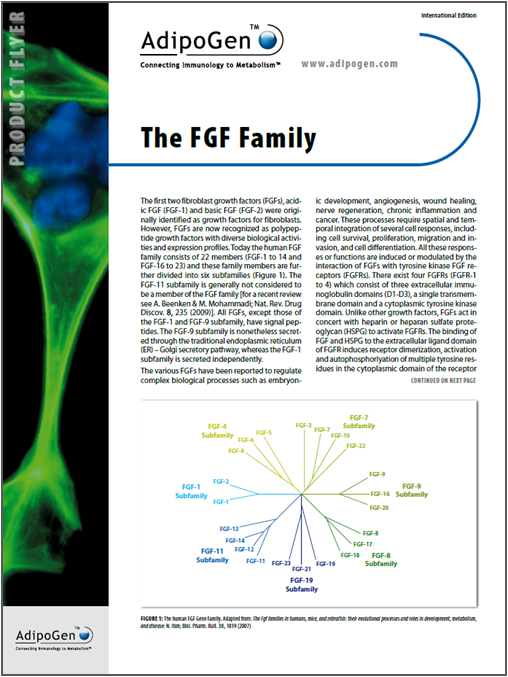 FGF Flyer