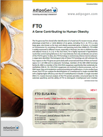 FTO Brochure
