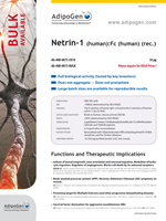 Netrin-1 Flyer