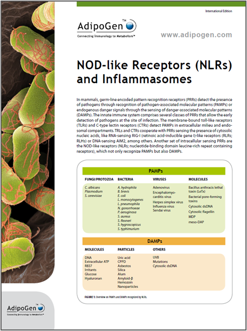 Inflammasome Brochure
