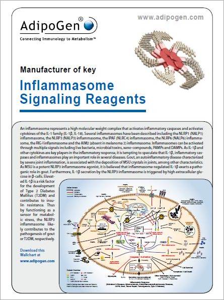Inflammasomes Research Reagents Flyer 2012 Inflammasomes Research Reagents Flyer 2012
