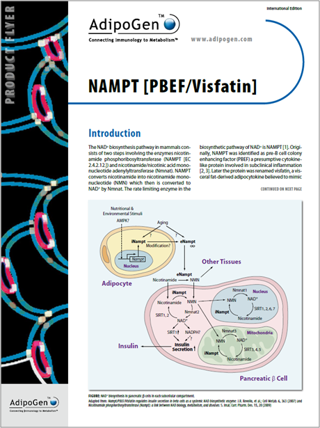 Nampt PBEF Visfatin Flyer