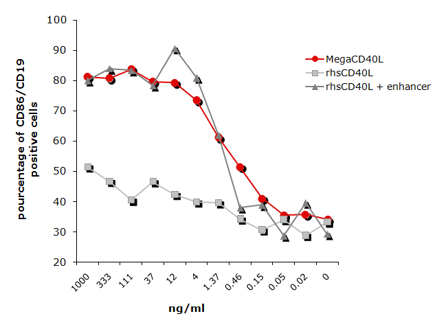 MegaCD40L, Soluble (human) (rec.) (Prod. No. AG-40B-0010) does not need an enhancer to induce B cells activation. <br /> <b>Method:</b> PBL cells  were incubated in 96-well plates (2x10<sup>5</sup> cells/well in 100&mu;l RPMI supplemented with 10% FCS) for 24 hours at 37°C with the indicated concentration of MegaCD40L, Soluble (human) (rec.) or CD40L (h) in the presence and absence of 1&mu;g/ml Enhancer (Prod. No AG-35B-0001). Cells were washed with PBS and stained with 2 &mu;l each CD86-PE and CD19-FITC in 50&mu;l FACS buffer (PBS, 5% fetal calf serum, 0.02% azide) for 20 min. at 4°C in the dark. After two washes in FACS buffer, samples were then analyzed by flow cytometry.