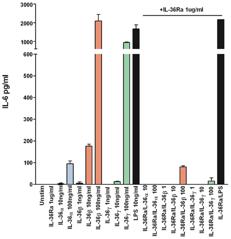 IL-36Ra (aa 3-156) (mouse) (rec.) (Prod. No. AG-40B-0096) inhibits IL-36α, IL-36β, IL-36γ-dependent expression of IL-6 in mouse BMDCs. <br /> <b>Method:</b> Bone marrow cells were differentiated into bone marrow-derived dendritic cells (BMDCs) using GM-CSF (20ng/ml) for 10 days. BMDCs were cultured with or without IL-36Ra, IL-36α, IL-36β, IL-36γ, or LPS at indicated concentrations for 72 h. Cell supernatants were then harvested and IL-6 levels determined by ELISA. IL-36Ra (aa 3-156) (mouse) (rec.) (Prod. No. AG-40B-0096) inhibits IL-36α, IL-36β, IL-36γ-dependent expression of IL-6 in mouse BMDCs. <br /> <b>Method:</b> Bone marrow cells were differentiated into bone marrow-derived dendritic cells (BMDCs) using GM-CSF (20ng/ml) for 10 days. BMDCs were cultured with or without IL-36Ra, IL-36α, IL-36β, IL-36γ, or LPS at indicated concentrations for 72 h. Cell supernatants were then harvested and IL-6 levels determined by ELISA.
