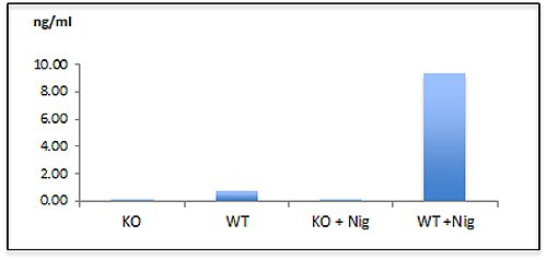 Mouse Caspase-1 is detected in cell culture supernatants by ELISA using Caspase-1 (mouse) Matched Pair Detection Set (Prod. No AG-46B-0003).<br /> <strong>Method:</strong> Caspase-1 (mouse) was measured by ELISA in supernatants of differentiated bone marrow-derived dendritic cells (BMDCs) from wild-type (WT) or caspase-1<sup>-/-</sup> (KO) mice activated or not by 5 μM <a title="Nigericin" href="http://www.adipogen.com/ag-cn2-0020/nigericin-sodium-salt.html" target="_blank">Nigericin (Nig) (AG-CN2-0020)</a> for 30 min. Mouse Caspase-1 is detected in cell culture supernatants by ELISA using Caspase-1 (mouse) Matched Pair Detection Set (Prod. No AG-46B-0003).<br /> <strong>Method:</strong> Caspase-1 (mouse) was measured by ELISA in supernatants of differentiated bone marrow-derived dendritic cells (BMDCs) from wild-type (WT) or caspase-1<sup>-/-</sup> (KO) mice activated or not by 5 μM <a title="Nigericin" href="http://www.adipogen.com/ag-cn2-0020/nigericin-sodium-salt.html" target="_blank">Nigericin (Nig) (AG-CN2-0020)</a> for 30 min.