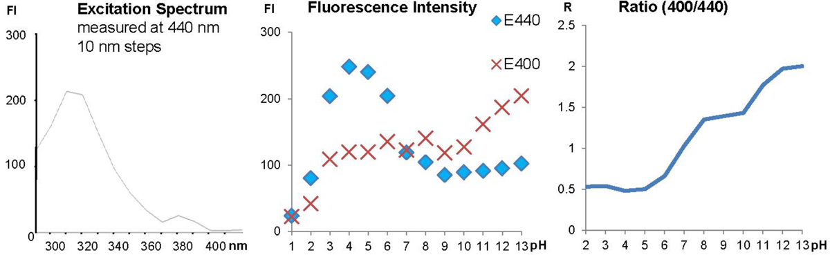 Fluorescence properties of LysoGlow84, showing excitation spectrum (left), fluorescence measured at 400nm and 440nm with different pH values (middle), and ratio of intensities at emission wavelength 400nm and 440nm dependent of the pH (right). Fluorescence properties of LysoGlow84, showing excitation spectrum (left), fluorescence measured at 400nm and 440nm with different pH values (middle), and ratio of intensities at emission wavelength 400nm and 440nm dependent of the pH (right).