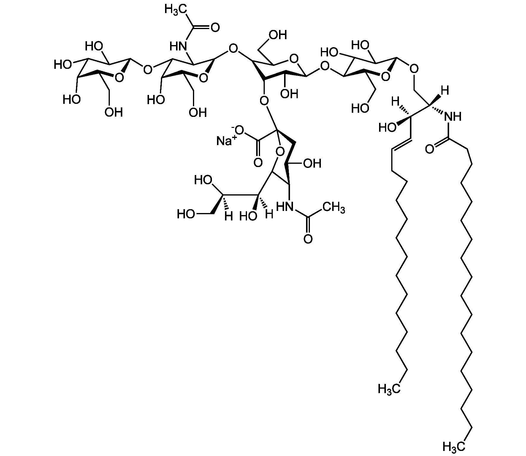 G(M1) Ganglioside; Monosialosyl Tetraglycosyl Ceramide