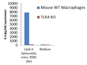 Macrophages from wild-type (WT) TLR4 expressing or TLR4 deficient (TLR4 KO) mice were stimulated with 1μg/ml TLRpure™ Lipid A from <i>S. minnesota</i>. Cell culture supernatants were analysed by ELISA for IL-6 after 24h. Optimal concentrations required for activation depend upon bacterial strain and chemotype Lipid A, cell species (murine, human, others), cell culture conditions (FCS concentration), sampling time and cytokine. Recommended range for Lipid A: 0.1-1.0μg/ml. Macrophages from wild-type (WT) TLR4 expressing or TLR4 deficient (TLR4 KO) mice were stimulated with 1μg/ml TLRpure™ Lipid A from <i>S. minnesota</i>. Cell culture supernatants were analysed by ELISA for IL-6 after 24h. Optimal concentrations required for activation depend upon bacterial strain and chemotype Lipid A, cell species (murine, human, others), cell culture conditions (FCS concentration), sampling time and cytokine. Recommended range for Lipid A: 0.1-1.0μg/ml.