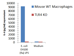 Macrophages from wild-type (WT) TLR4 expressing or TLR4 deficient (TLR4 KO) mice were stimulated with 1μg/ml TLRpure™ <i>E. coli</i> EH100 (Ra)-(rough) LPS. Cell culture supernatants were analysed by ELISA for IL-6 after 24h. Optimal concentrations required for activation depend upon bacterial strain and chemotype (R- or S-) LPS, cell species (murine, human, others), cell culture conditions (FCS concentration), sampling time and cytokine. Recommended range for R-type (wild-type) LPS: 0.05-1.0μg/ml. Macrophages from wild-type (WT) TLR4 expressing or TLR4 deficient (TLR4 KO) mice were stimulated with 1μg/ml TLRpure™ <i>E. coli</i> EH100 (Ra)-(rough) LPS. Cell culture supernatants were analysed by ELISA for IL-6 after 24h. Optimal concentrations required for activation depend upon bacterial strain and chemotype (R- or S-) LPS, cell species (murine, human, others), cell culture conditions (FCS concentration), sampling time and cytokine. Recommended range for R-type (wild-type) LPS: 0.05-1.0μg/ml.
