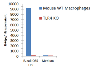 Macrophages from wild-type (WT) TLR4 expressing or TLR4 deficient (TLR4 KO) mice were stimulated with 1μg/ml TLRpure™ <i>E. coli</i> O55:B5 S-(smooth) LPS. Cell culture supernatants were analysed by ELISA for IL-6 after 24h. Optimal concentrations required for activation depend upon bacterial strain and chemotype (R- or S-) LPS, cell species (murine, human, others), cell culture conditions (FCS concentration), sampling time and cytokine. Recommended range for S-type (wild-type) LPS: 0.01-1.0μg/ml. Macrophages from wild-type (WT) TLR4 expressing or TLR4 deficient (TLR4 KO) mice were stimulated with 1μg/ml TLRpure™ <i>E. coli</i> O55:B5 S-(smooth) LPS. Cell culture supernatants were analysed by ELISA for IL-6 after 24h. Optimal concentrations required for activation depend upon bacterial strain and chemotype (R- or S-) LPS, cell species (murine, human, others), cell culture conditions (FCS concentration), sampling time and cytokine. Recommended range for S-type (wild-type) LPS: 0.01-1.0μg/ml.