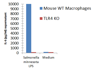 Macrophages from wild-type (WT) TLR4 expressing or TLR4 deficient (TLR4 KO) mice were stimulated with 1μg/ml TLRpure™ <i>S. minnesota</i> S-LPS. Cell culture supernatants were analysed by ELISA for IL-6 after 24h. Optimal concentrations required for activation depend upon bacterial strain and chemotype (R- or S-) LPS, cell species (murine, human, others), cell culture conditions (FCS concentration), sampling time and cytokine. Recommended range for S-type (wild-type) LPS: 0.01-1.0μg/ml. Macrophages from wild-type (WT) TLR4 expressing or TLR4 deficient (TLR4 KO) mice were stimulated with 1μg/ml TLRpure™ <i>S. minnesota</i> S-LPS. Cell culture supernatants were analysed by ELISA for IL-6 after 24h. Optimal concentrations required for activation depend upon bacterial strain and chemotype (R- or S-) LPS, cell species (murine, human, others), cell culture conditions (FCS concentration), sampling time and cytokine. Recommended range for S-type (wild-type) LPS: 0.01-1.0μg/ml.
